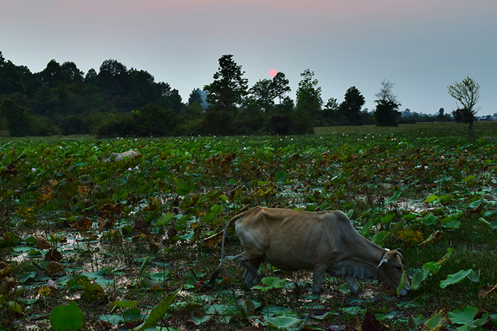 DSC_3273.jpg
