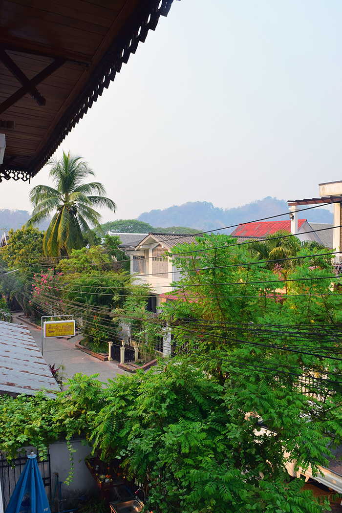 DSC_4795.jpg