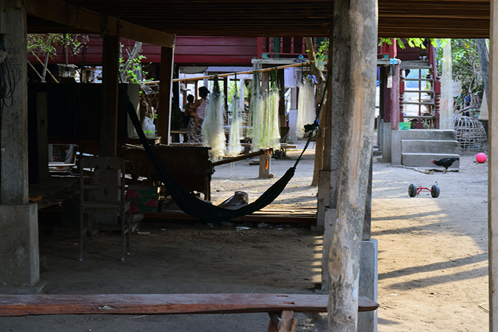 DSC_5613.jpg