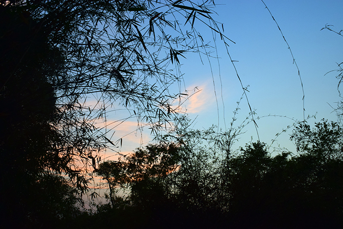 DSC_5969.jpg