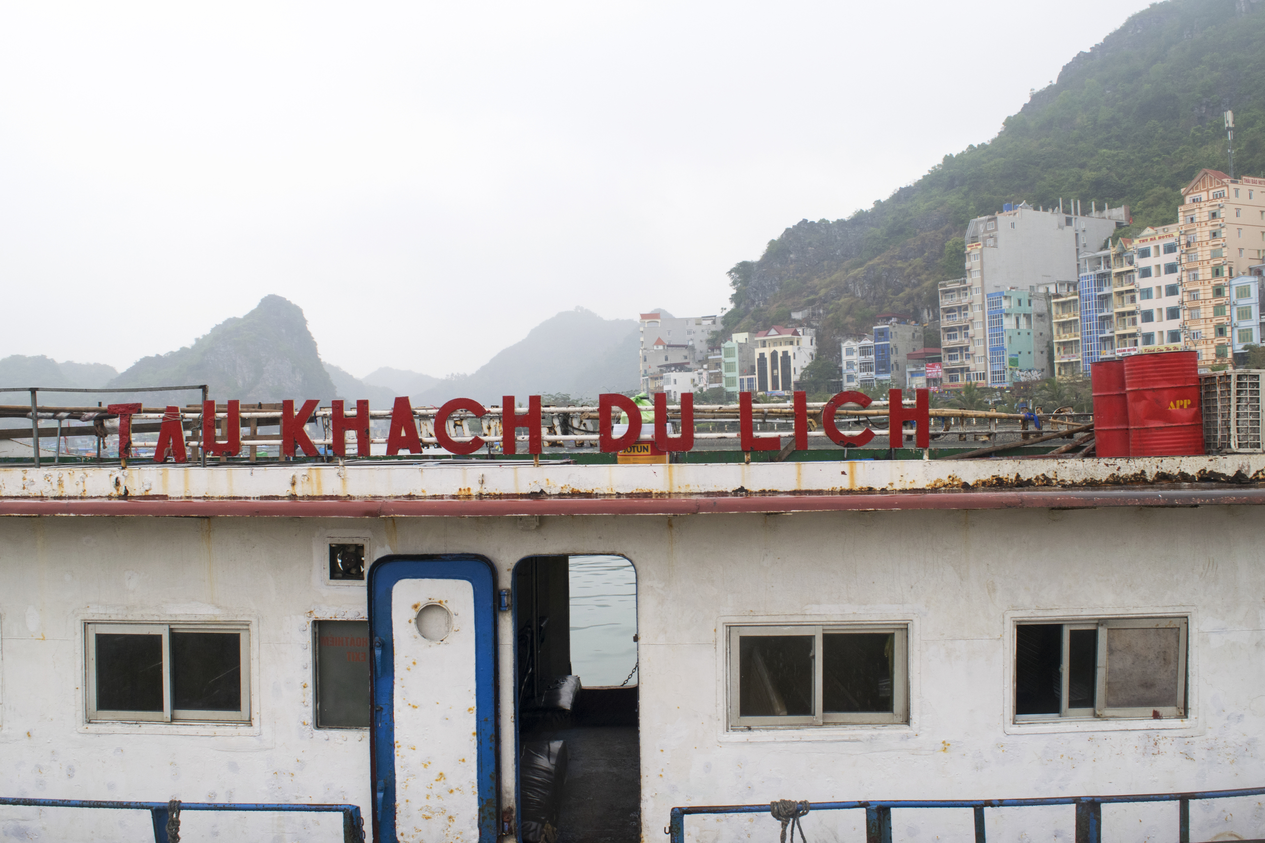 DSC_6713.jpg