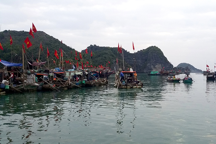 20150411_174530.jpg