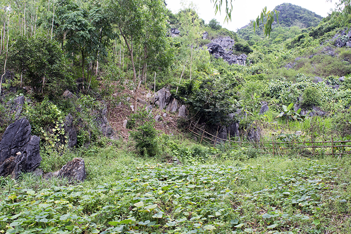 DSC_9329.jpg