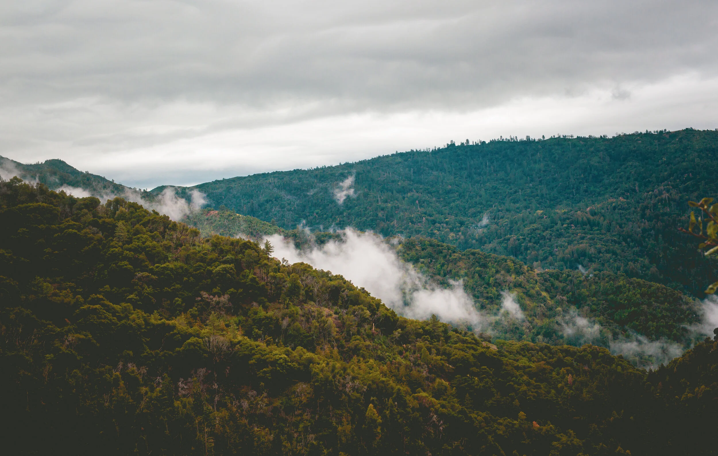 LA landscapes-152.JPG