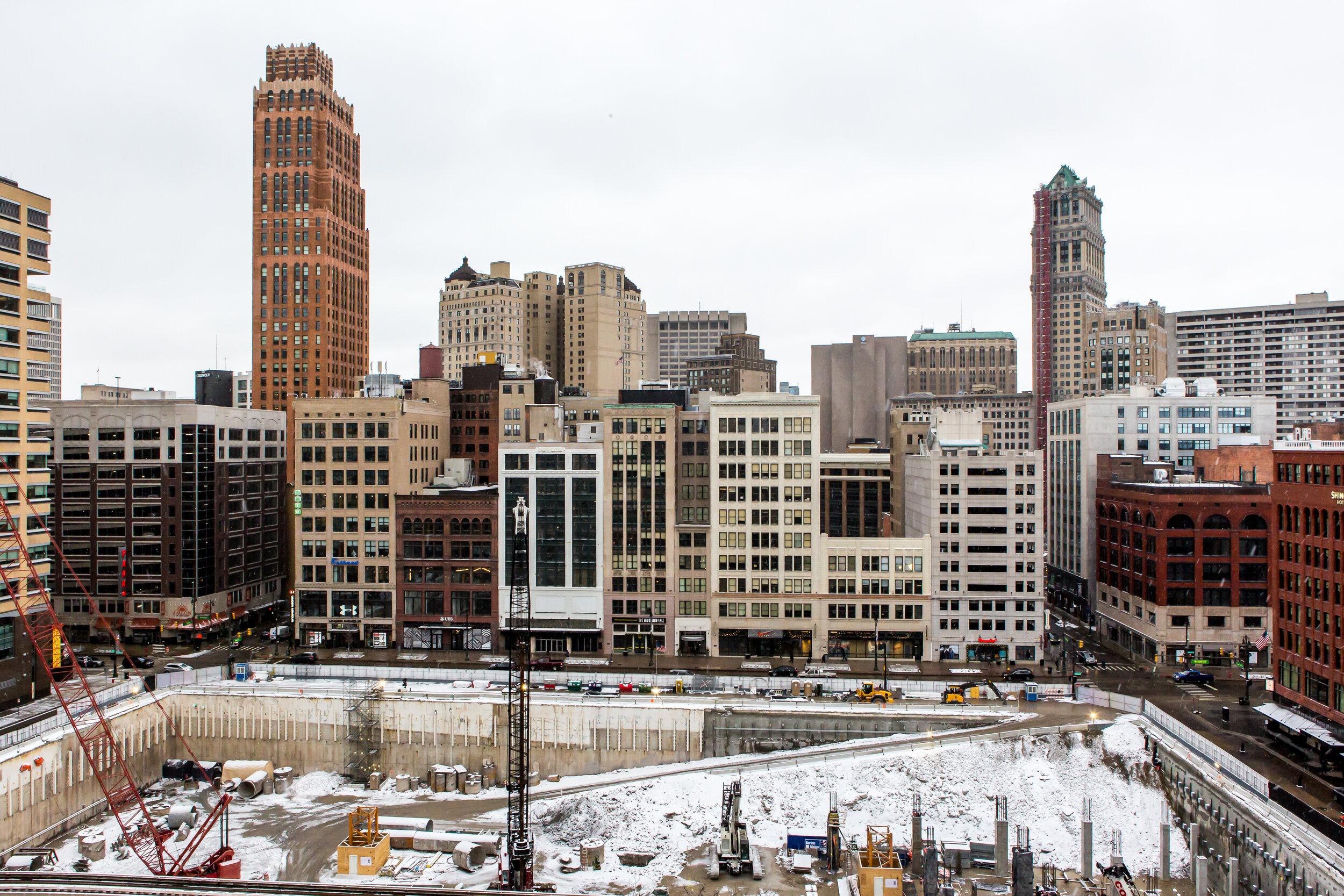 Snow adventures in Detroit-forest 2020-109.JPG