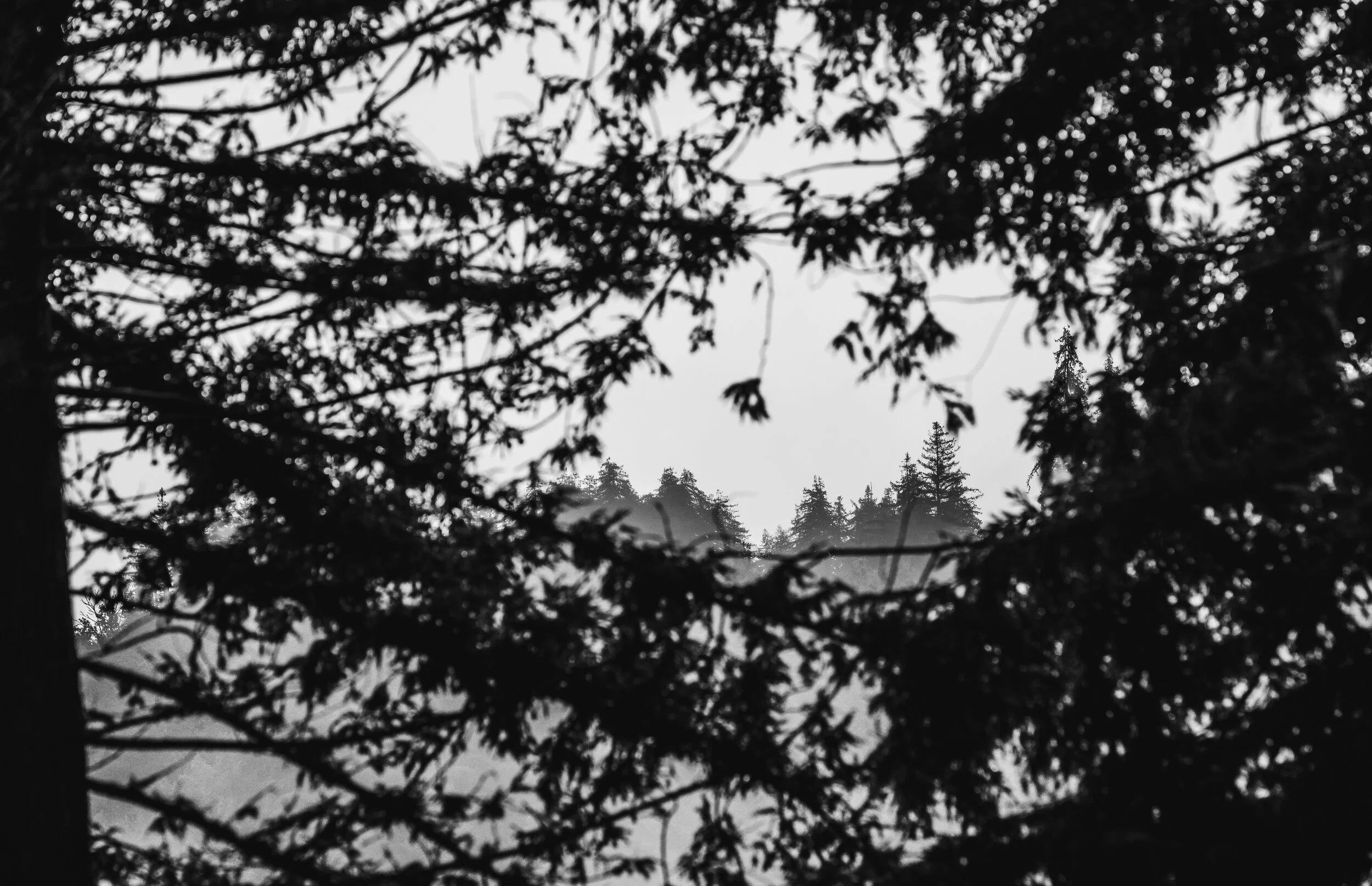 LA landscapes-269.JPG