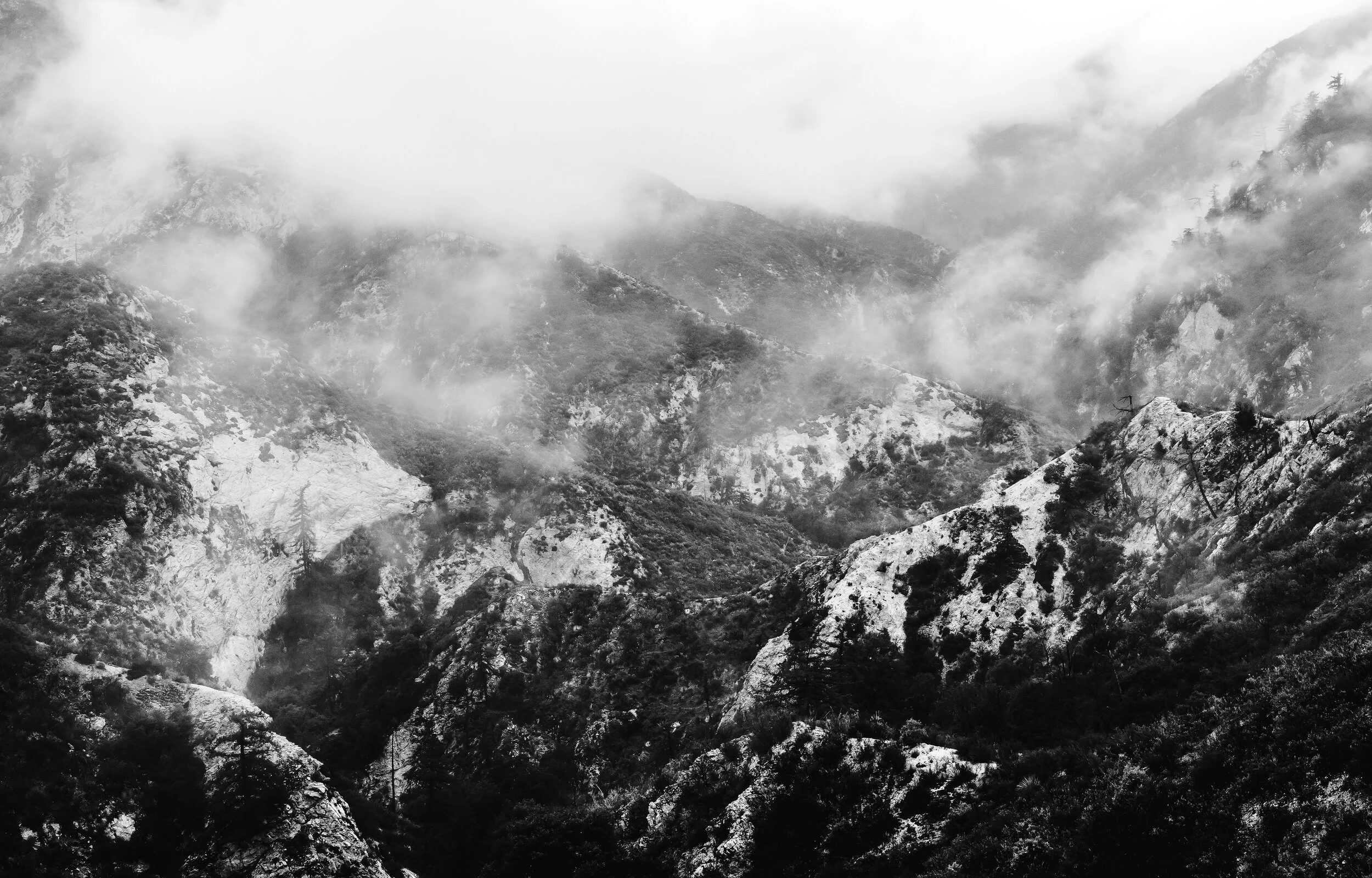 LA landscapes-80.JPG