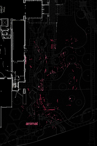 Object Recognition mapping at the Witte Museum front lawn, San Antonio.