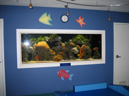 aquarium.jpg