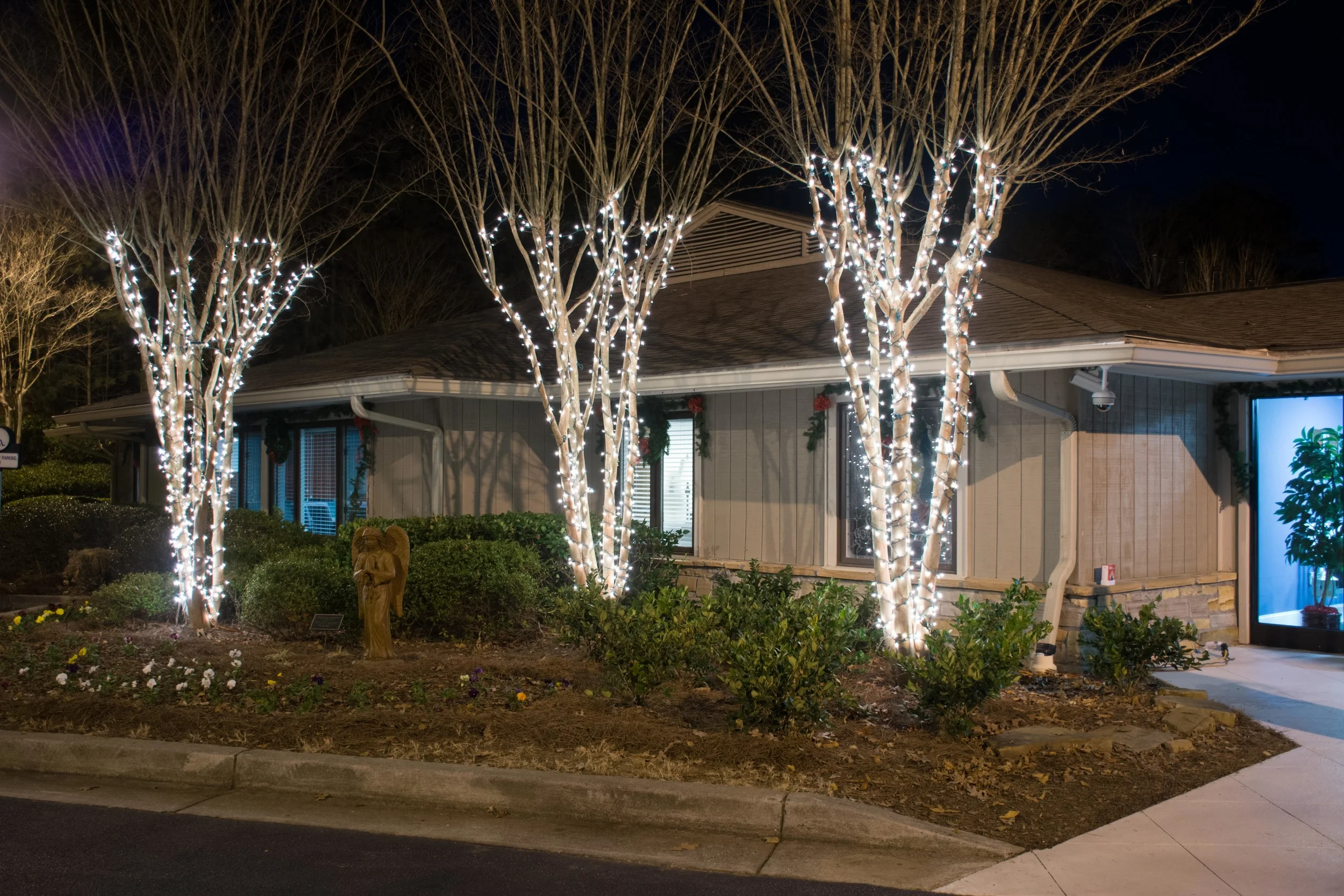 Celebration2014-177.jpg