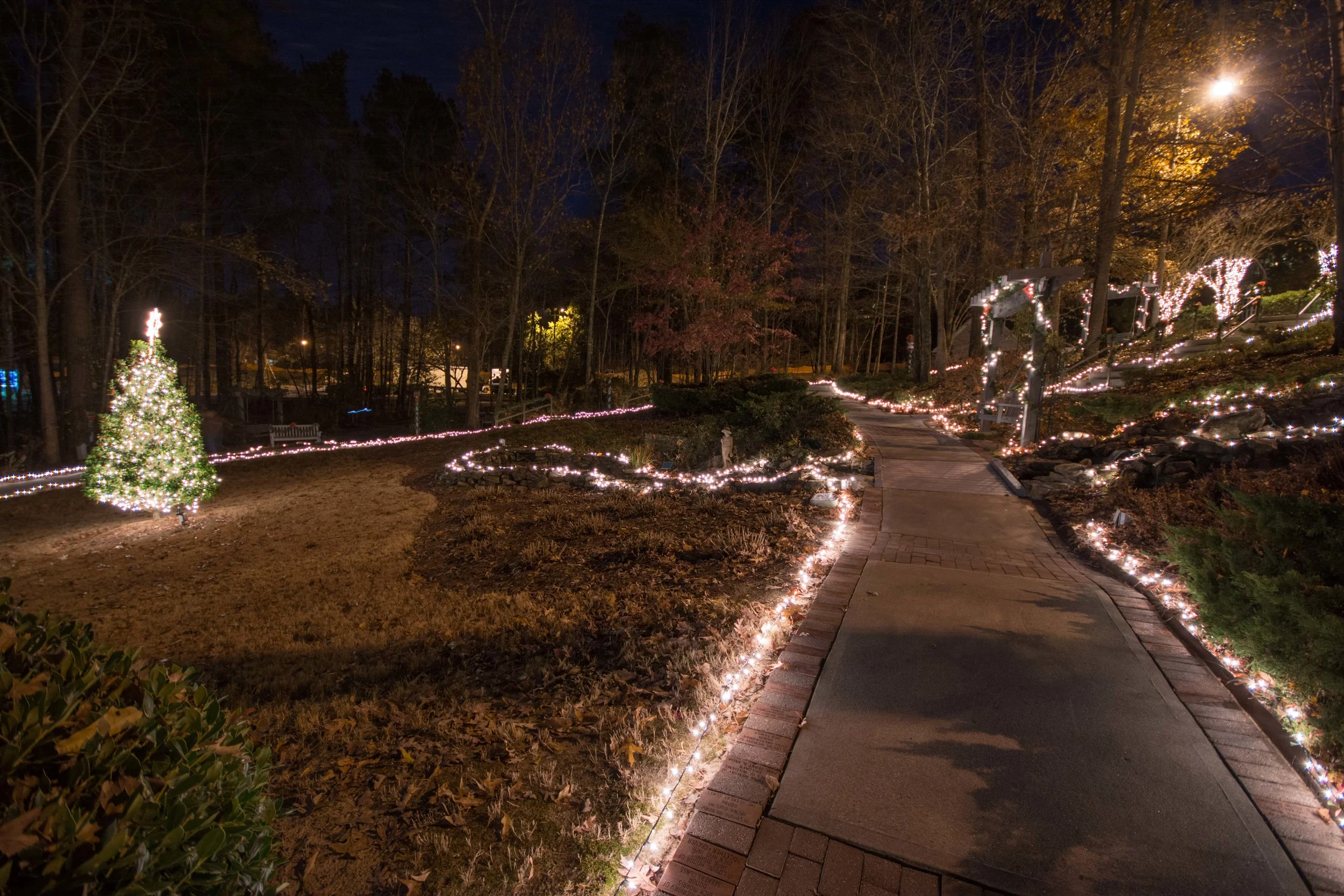Celebration2014-208.jpg
