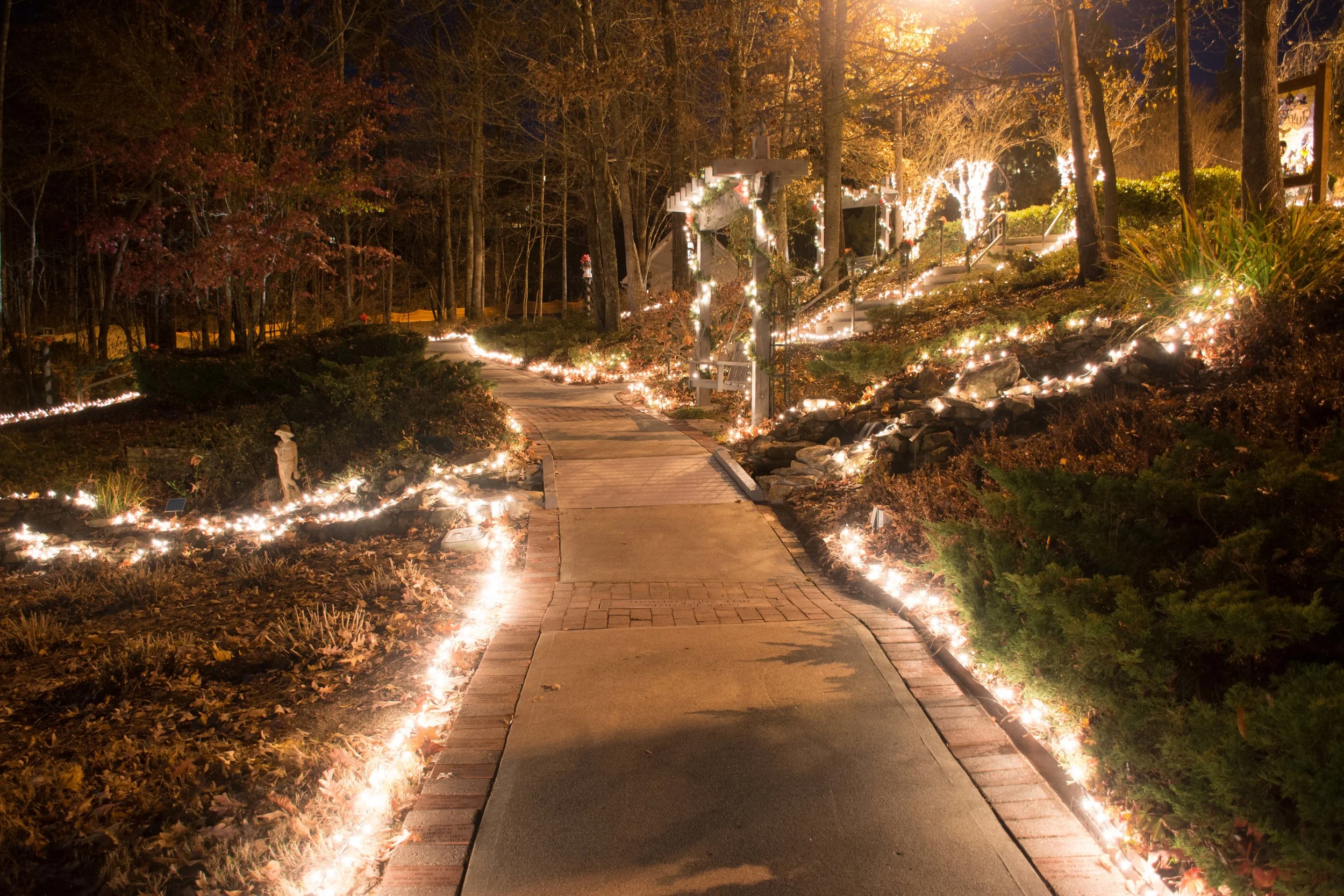 Celebration2014-204.jpg