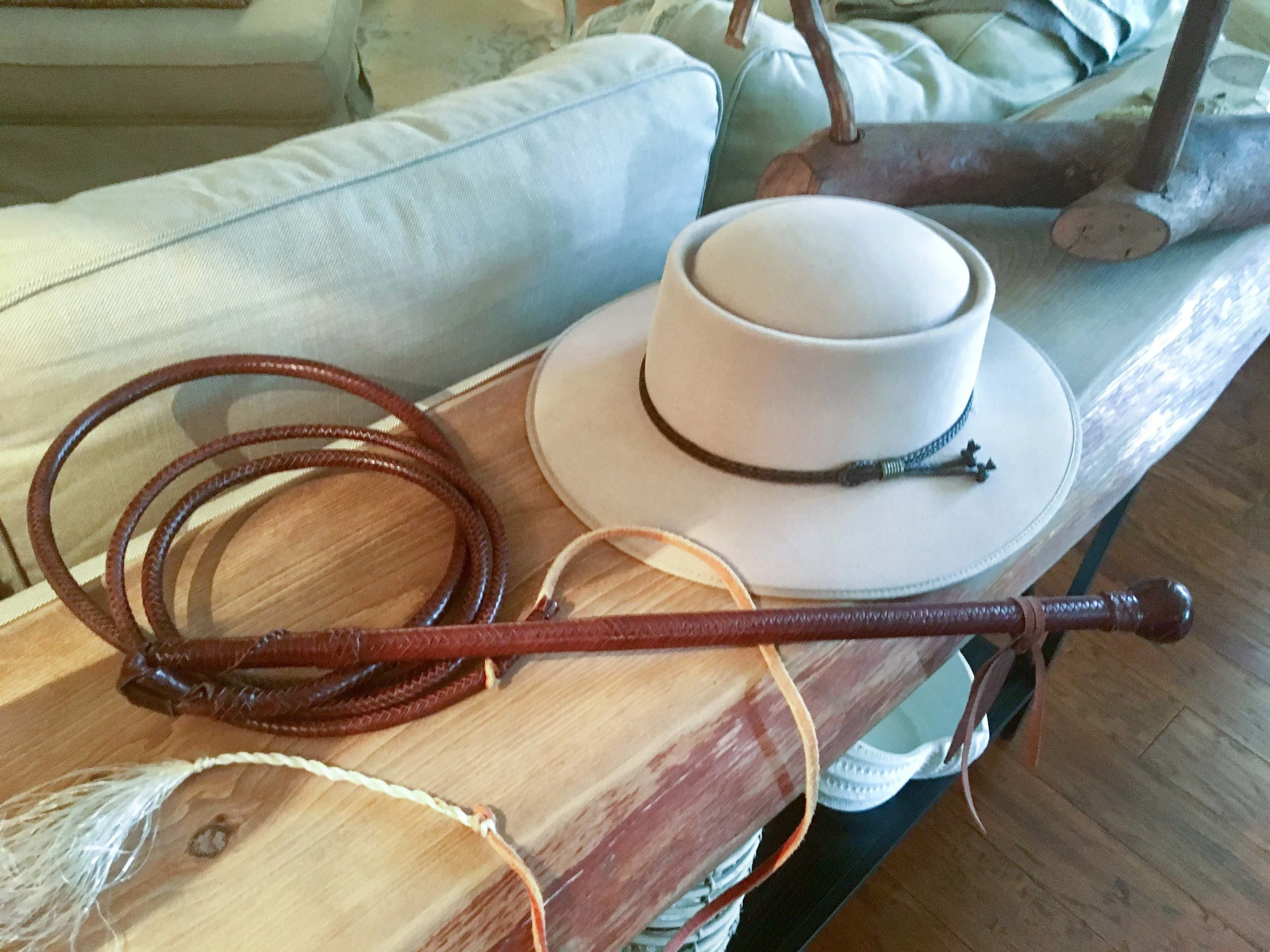 hat & whip.jpg