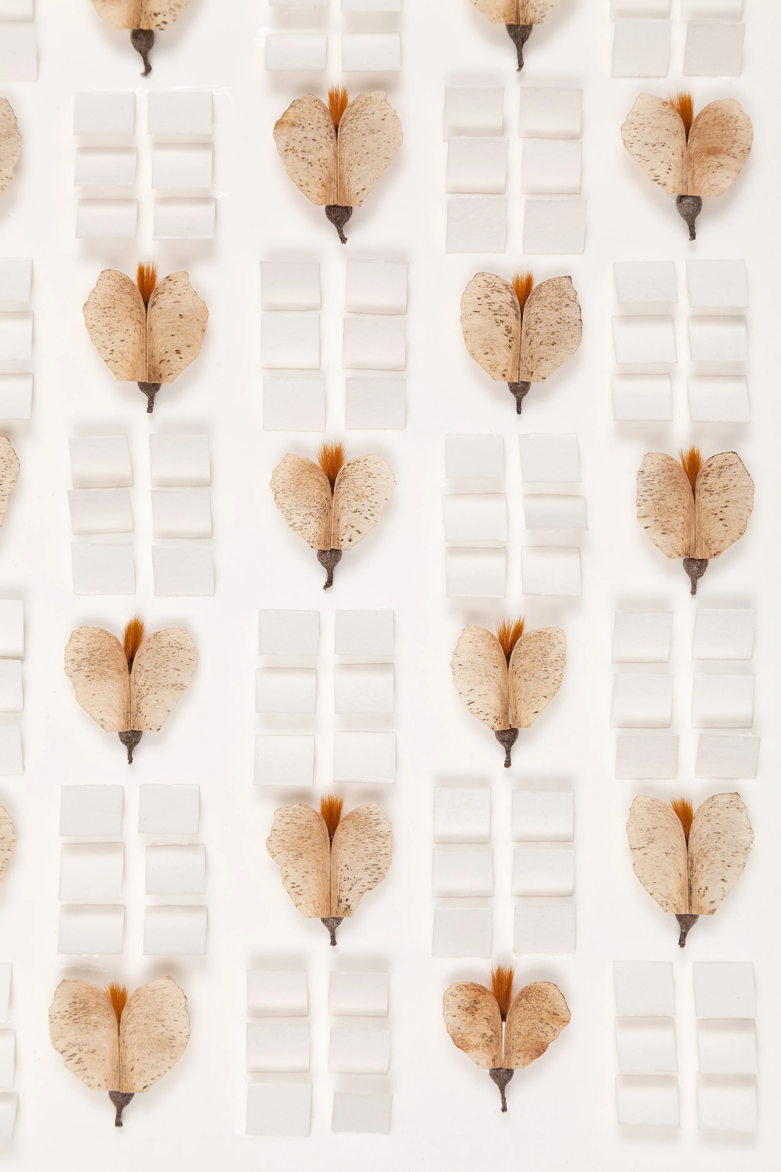 native Grid 0612.1 (detail)