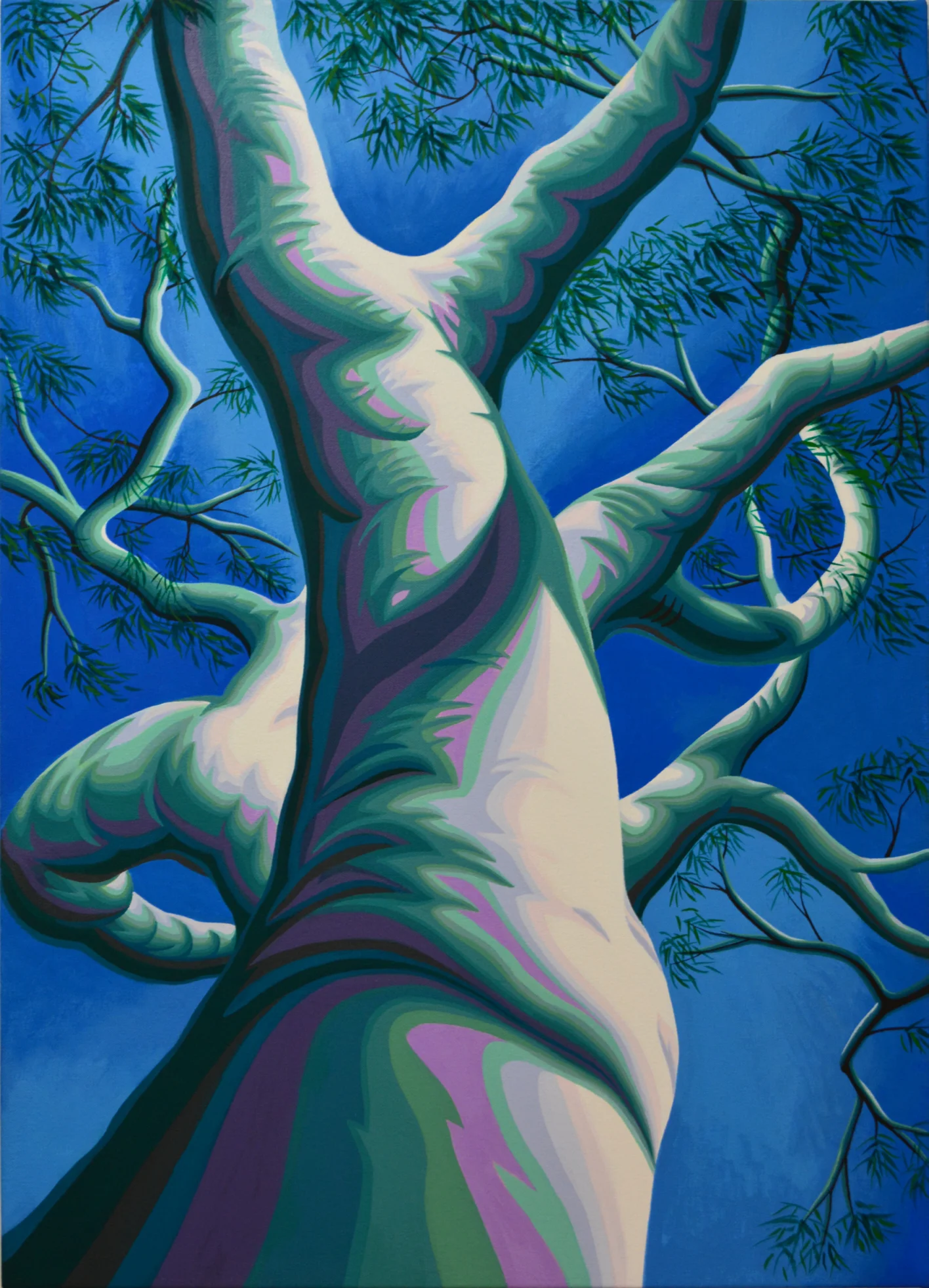 Gum Tree #10