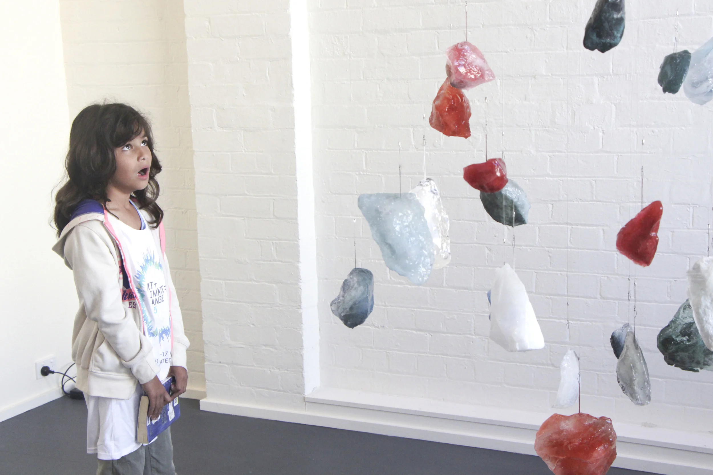 Chlamydomonas nivalis and glacial meltwater.