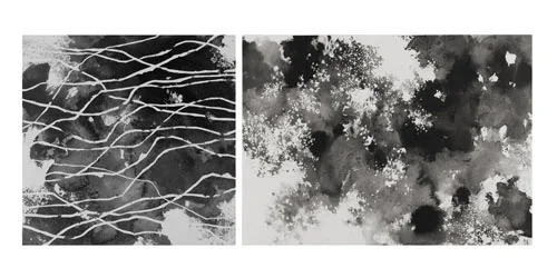 The Windfall Lights 2