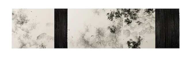 The Wind over the Steppe