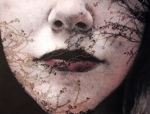 Murmur 1