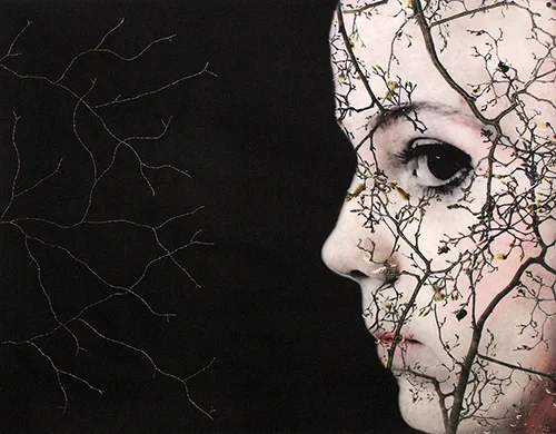 Nocturne (Secret Garden) 2