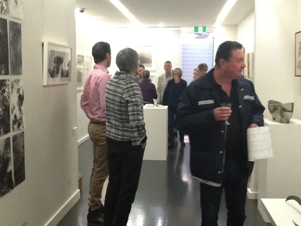 Evolution by Gallery Artists  23 May to 14 June 2015