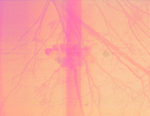 Unforeseen: A group photographic exhibition by Art Here