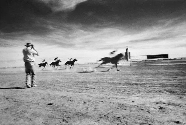 The Birdsville Cup by Berylouise Mitchell presented by Arthere