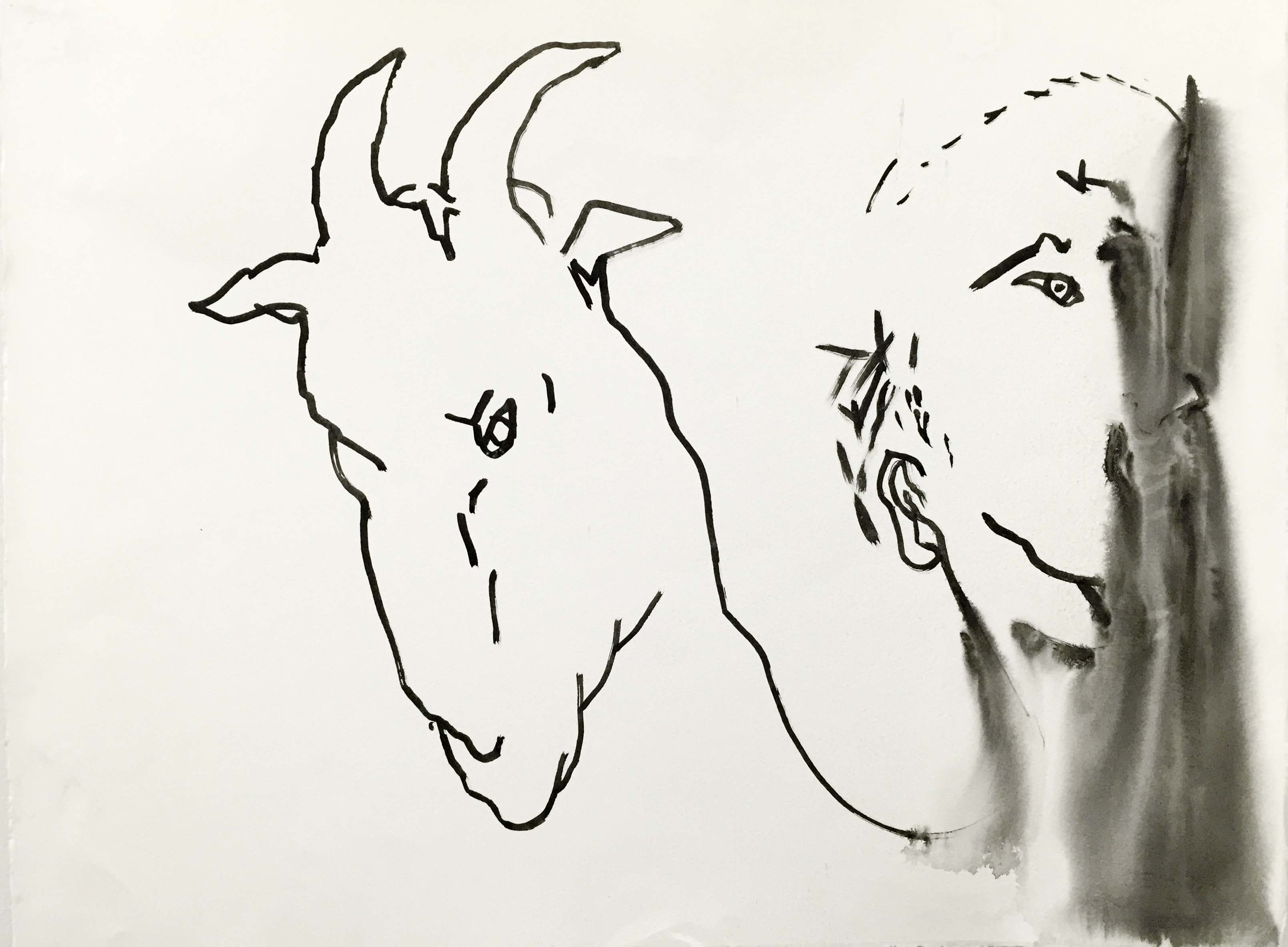 The Shadow and Ten Drawings by Bill Brown