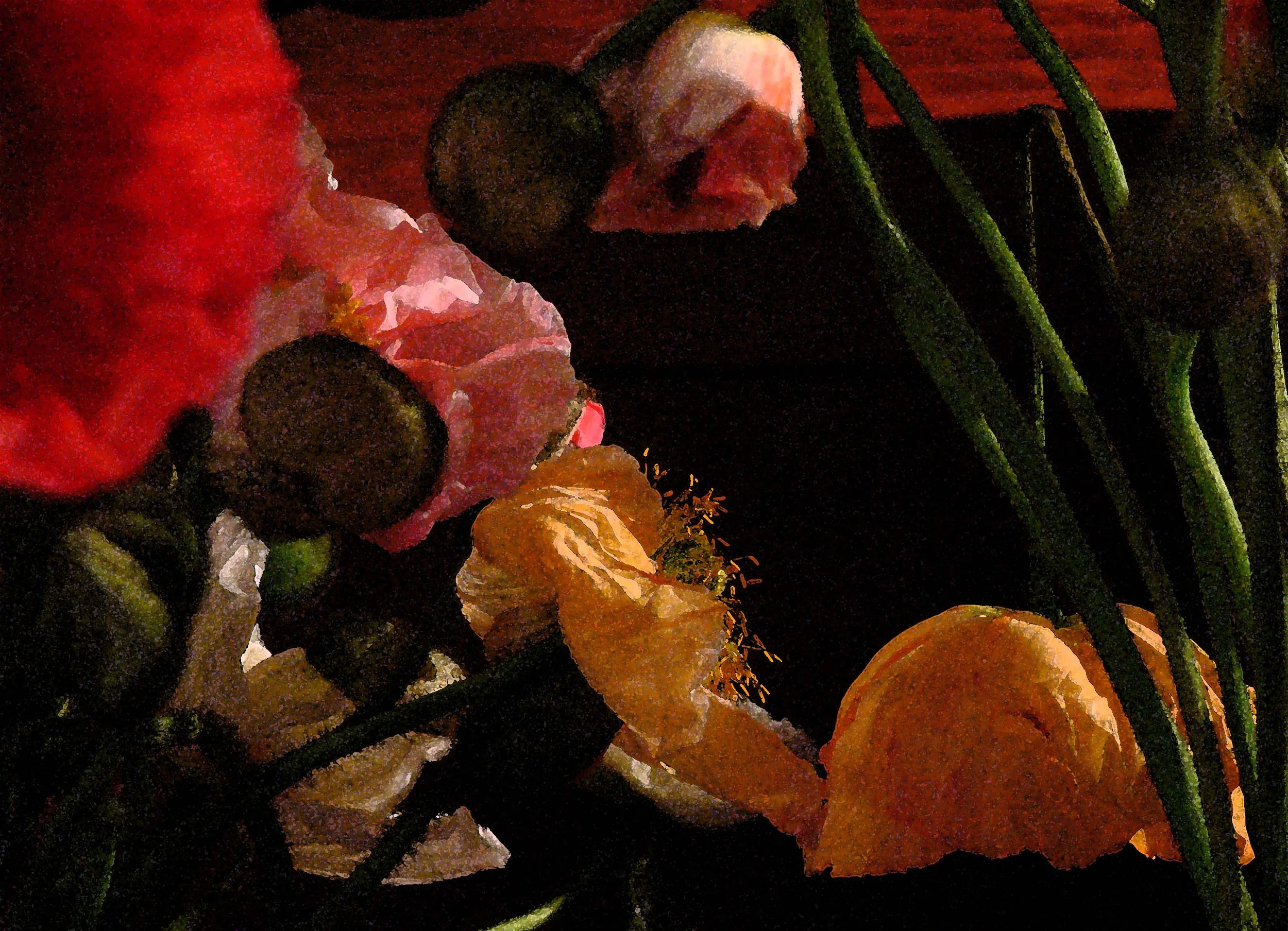 Big Poppies.jpg