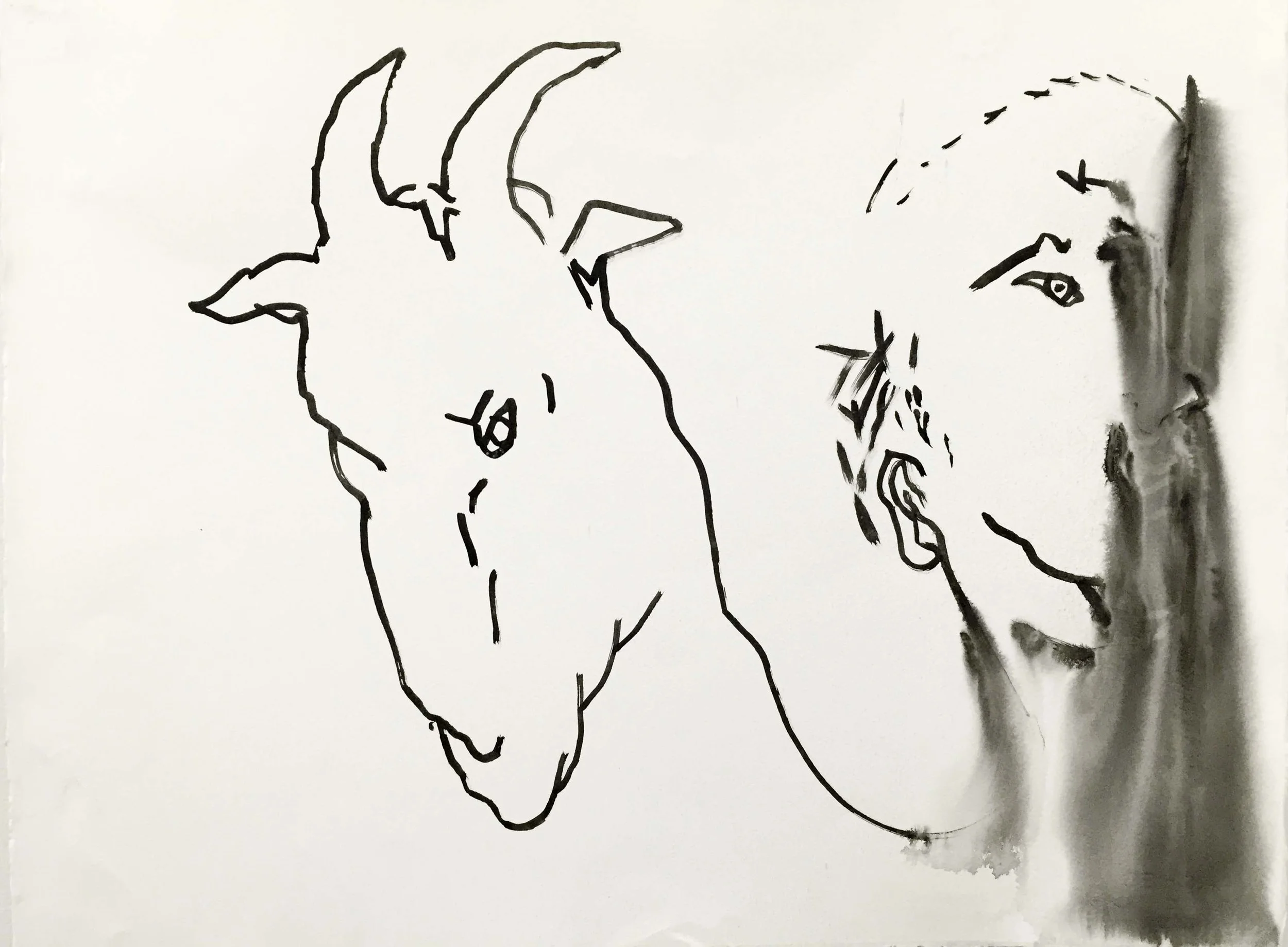 Ten Drawings by Bill Brown