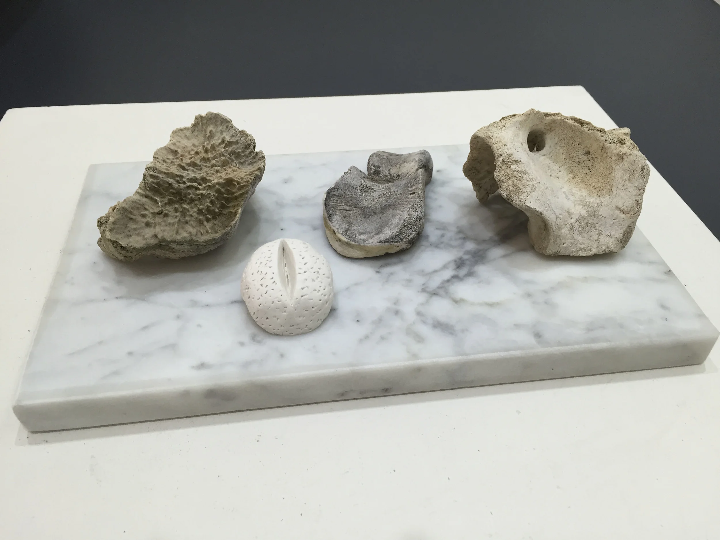 Quiet is the Seed 1.JPG