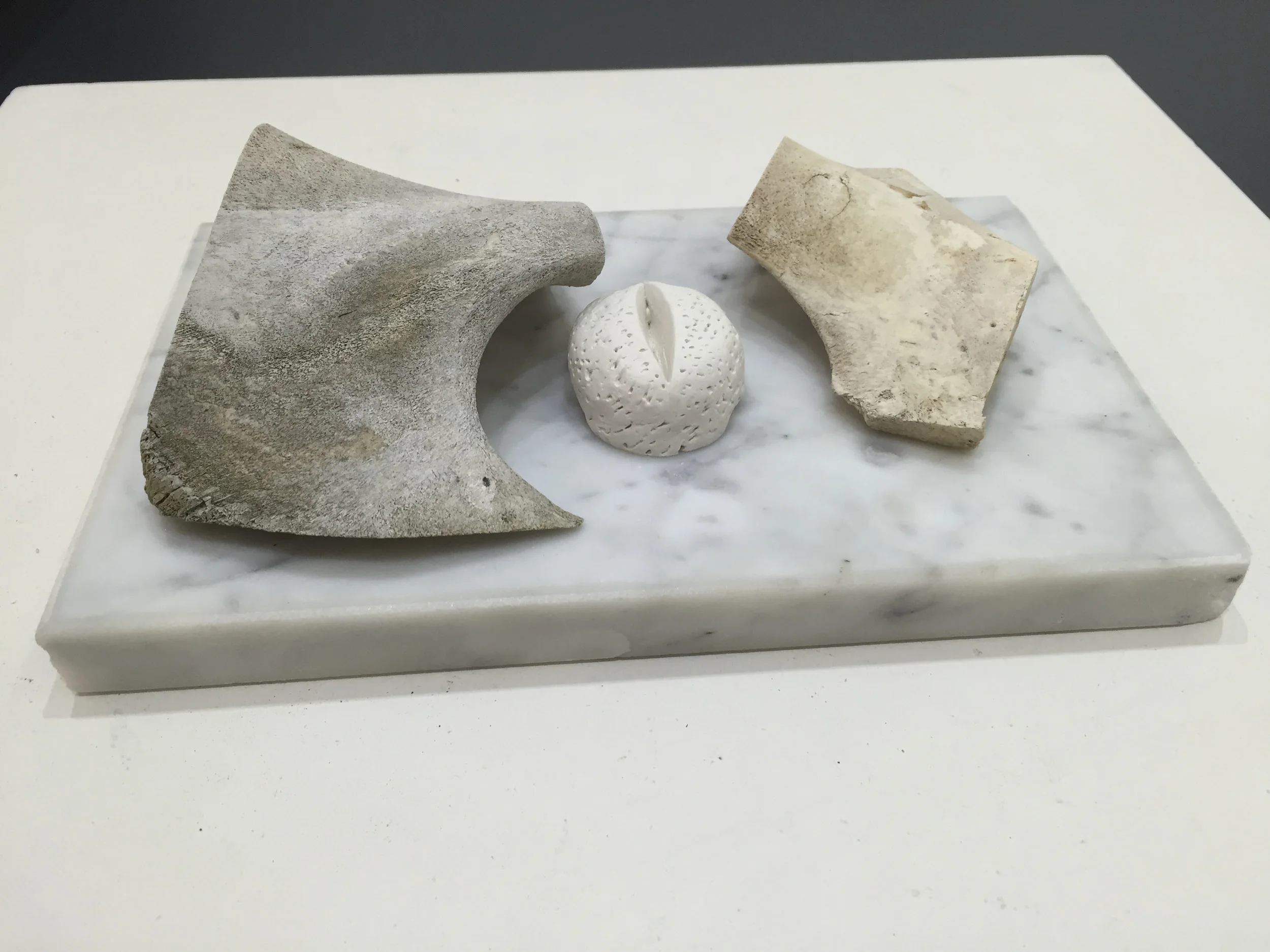 Quiet is the Seed 2.JPG