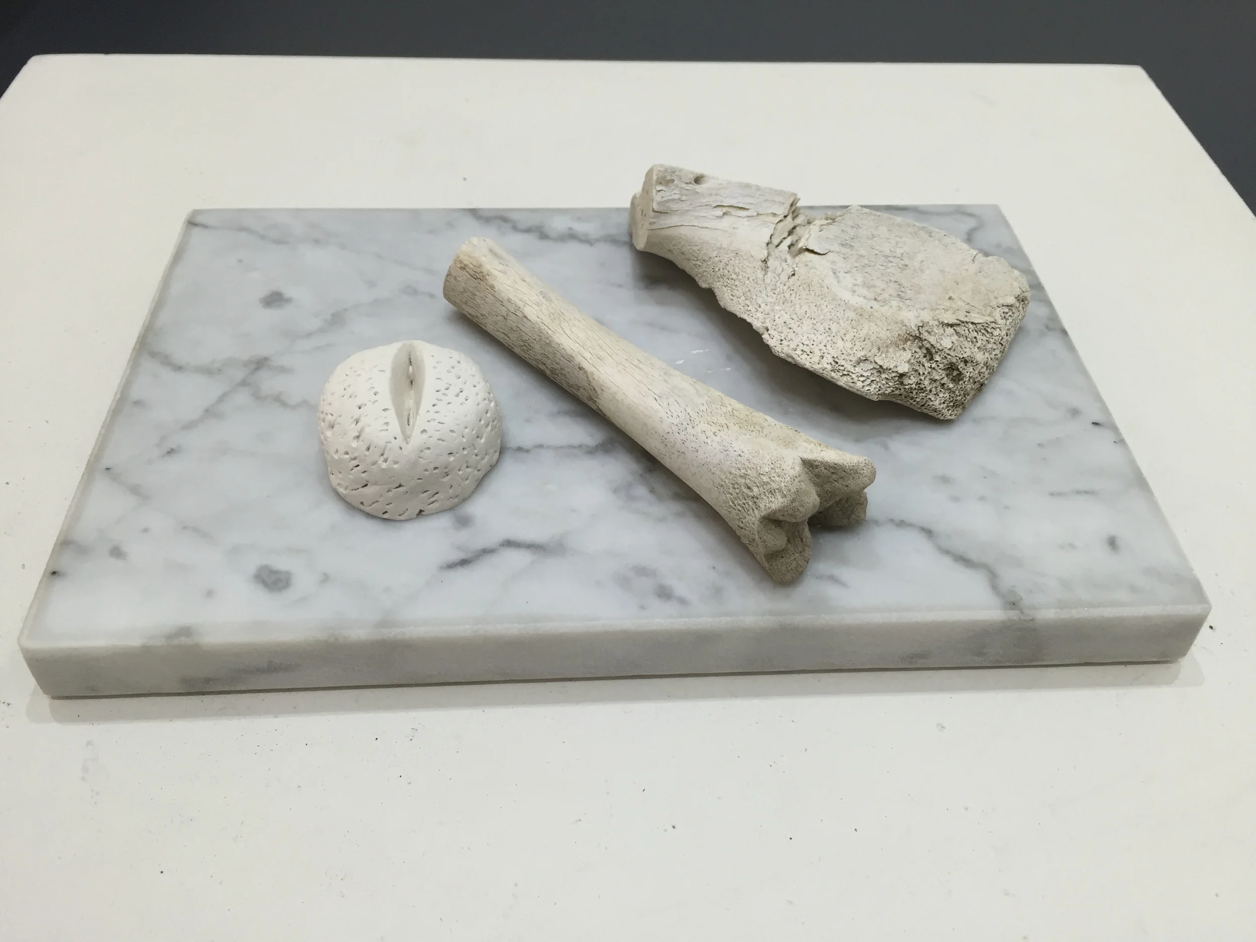 Quiet is the Seed 3.JPG