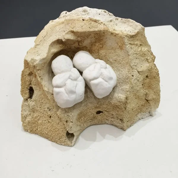 Uncertain Inheritance