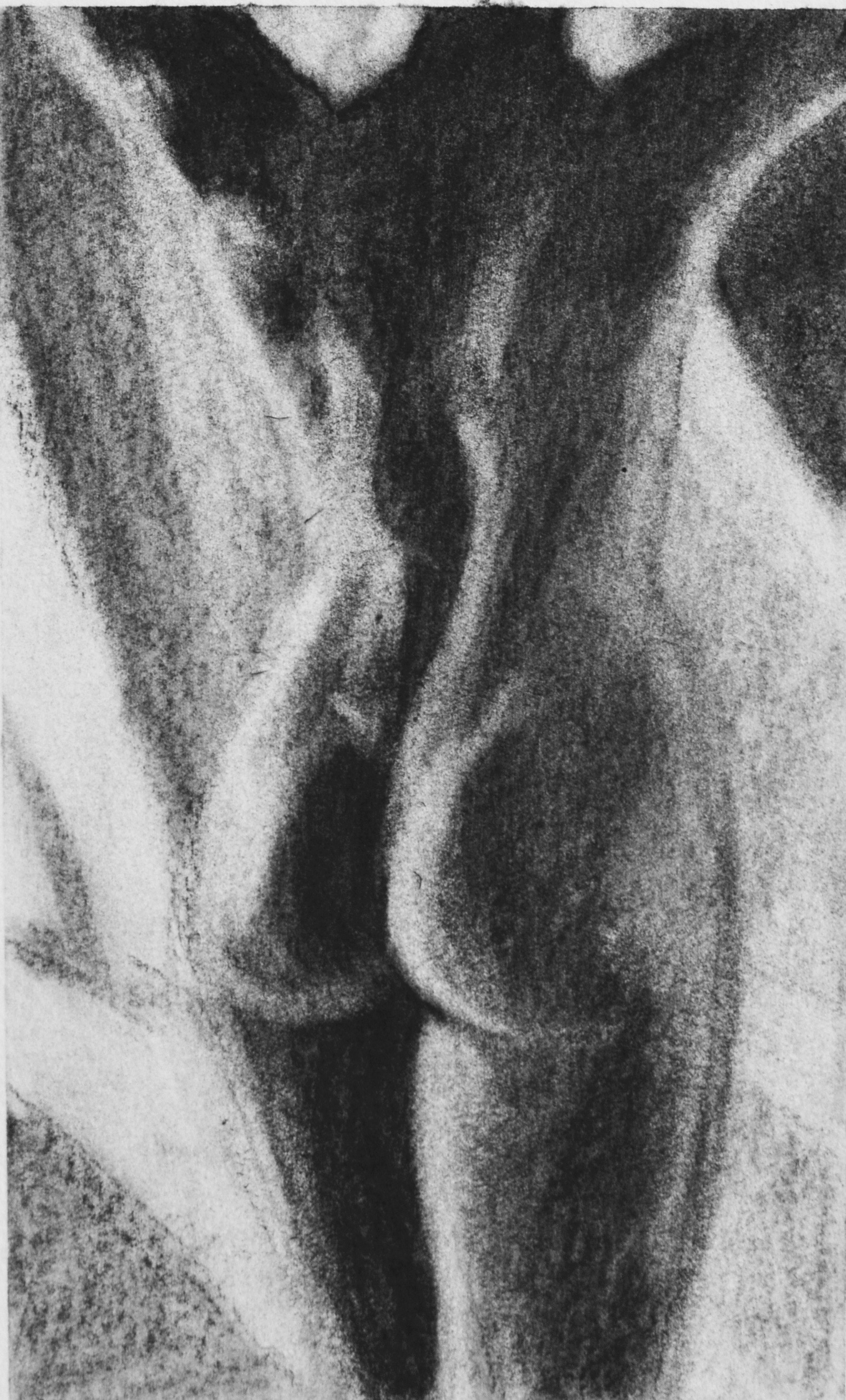 Figure 1 by Jan Hodge