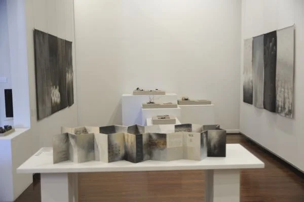 shifting horizons 2016, Muswellbrook Regional Art Centre (2).jpg