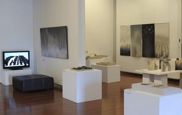 shifting horizons 2016, Muswellbrook Regional Art Centre (4).jpg