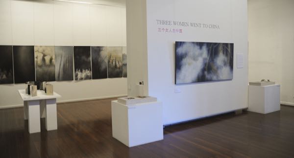 shifting horizons 2016, Muswellbrook Regional Art Centre.jpg