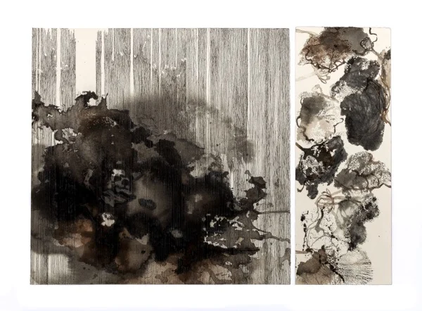 Accidental Recollection 2