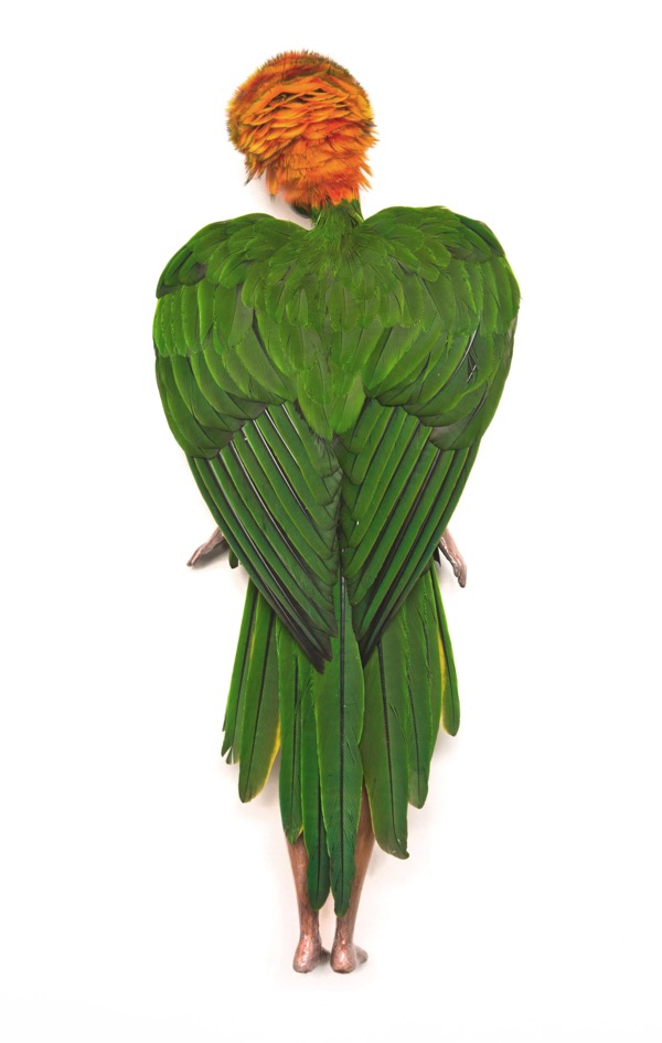 Preen by Emily Valentine