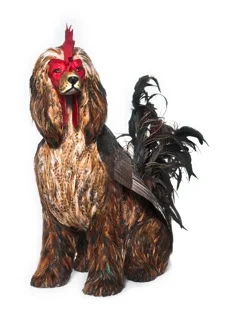 Afghan Cock