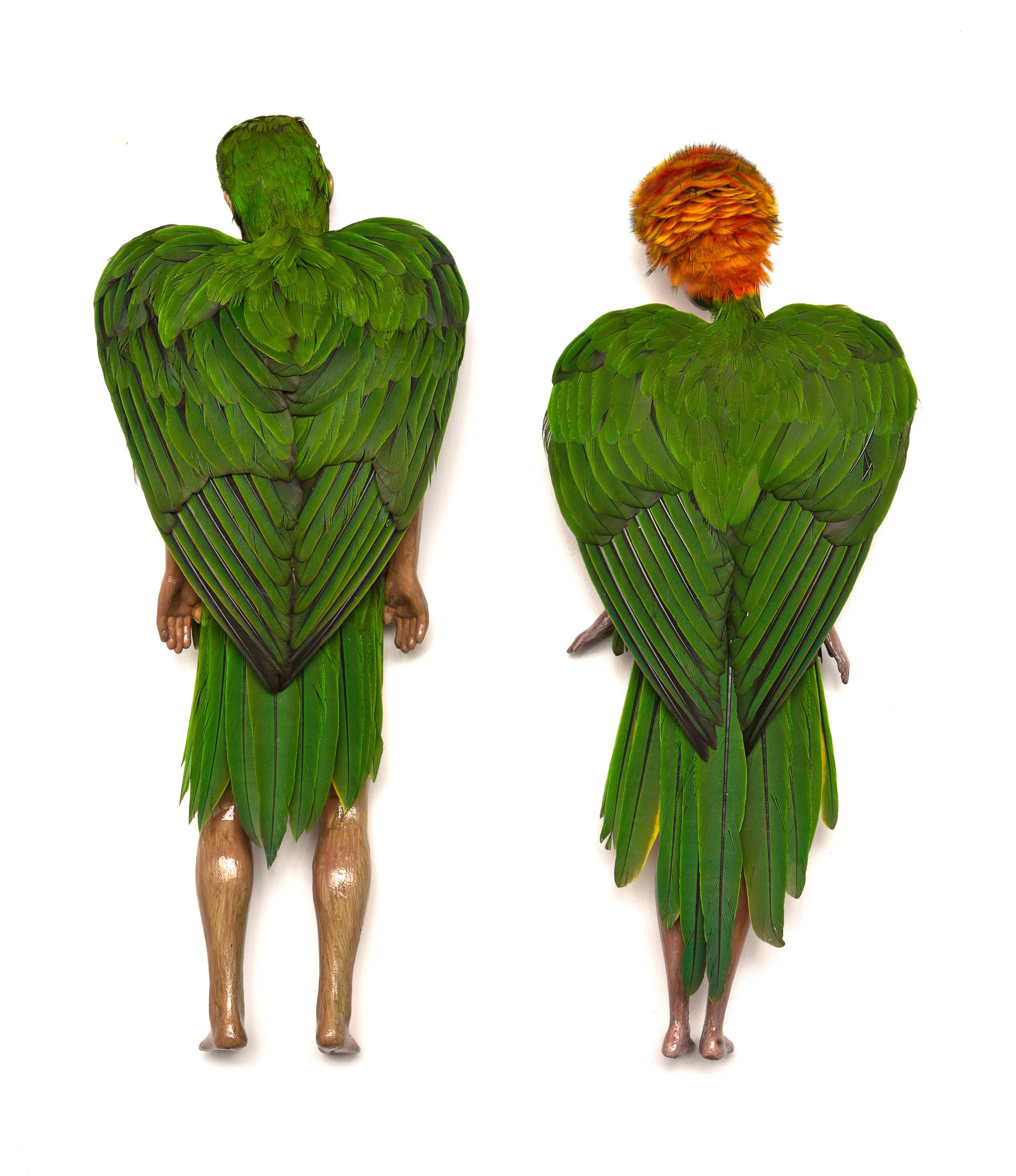 Emily Valentine    January 2017