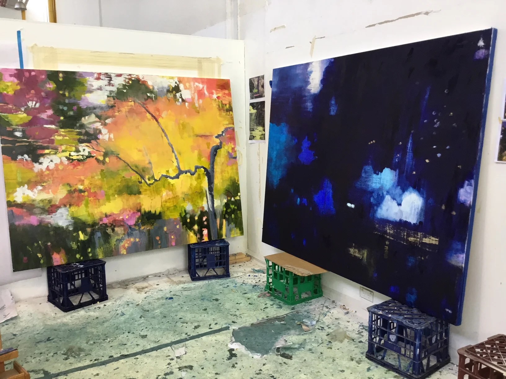 Suey McEnnally: The Brightness of Day/ Wild Lights of Night, 3-25 February 2018