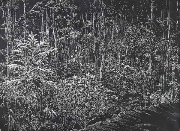 From the wall 2016.jpg