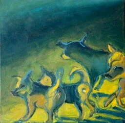 Venetian Street Dogs