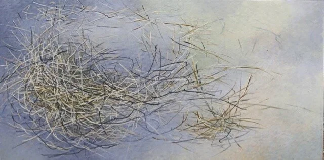 habitat [lost] I.jpg