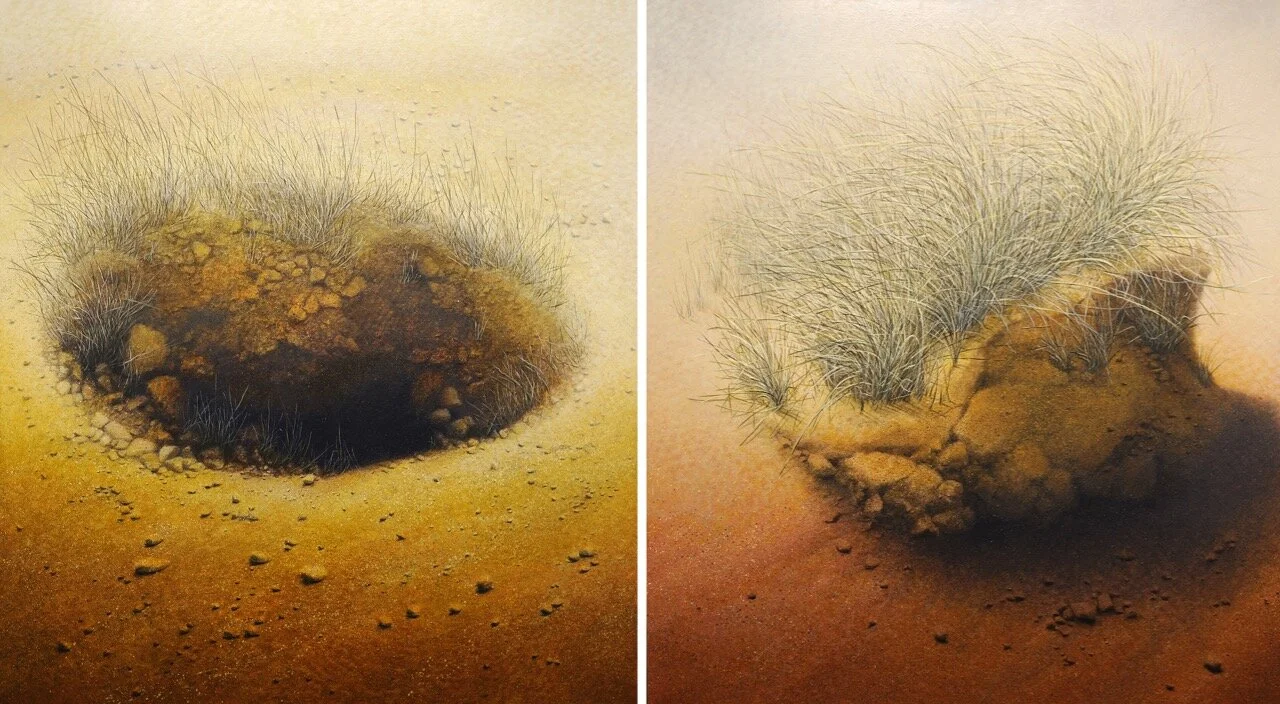 convex convex 2011 (1).jpg