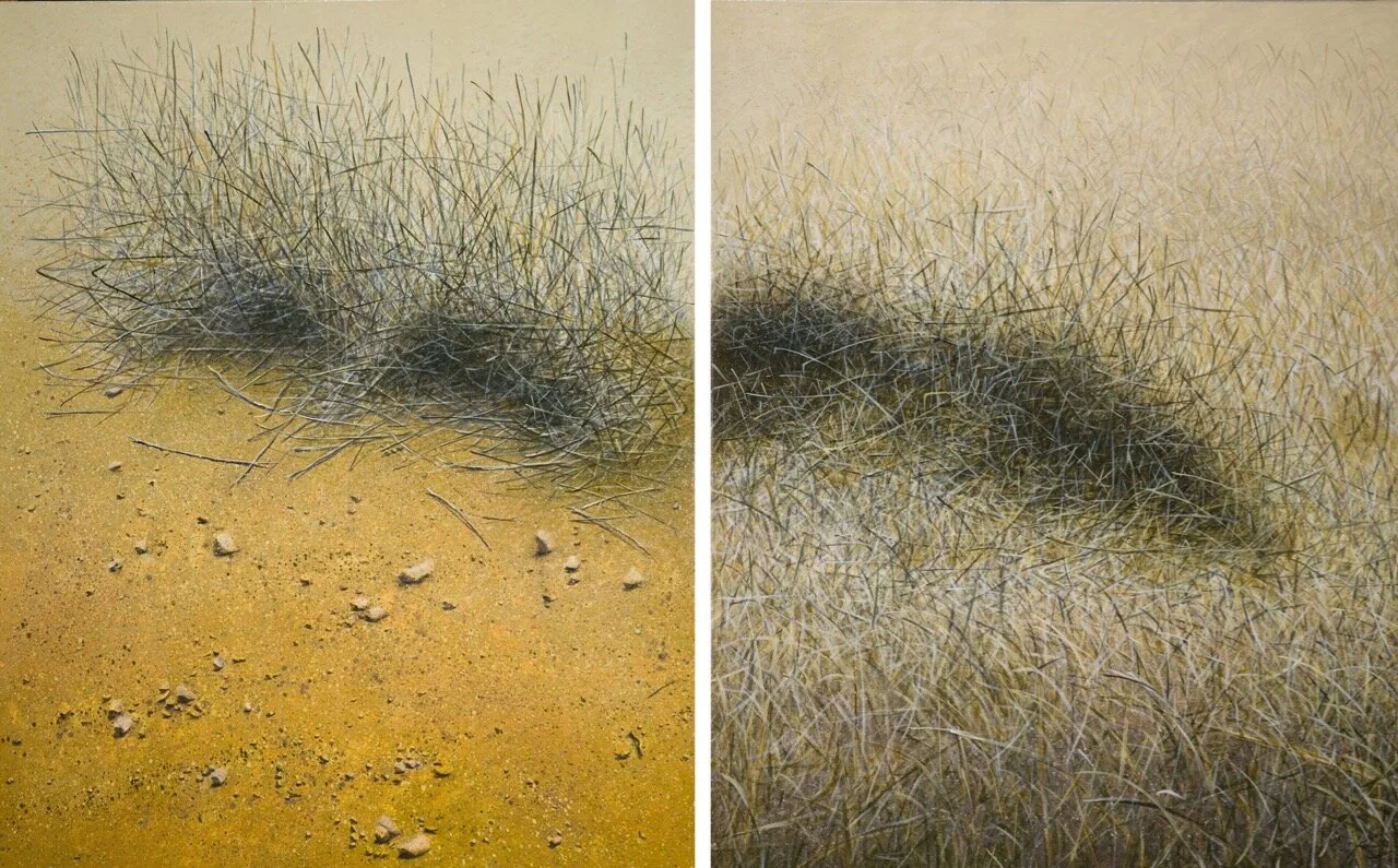 flaw in the grass.jpg