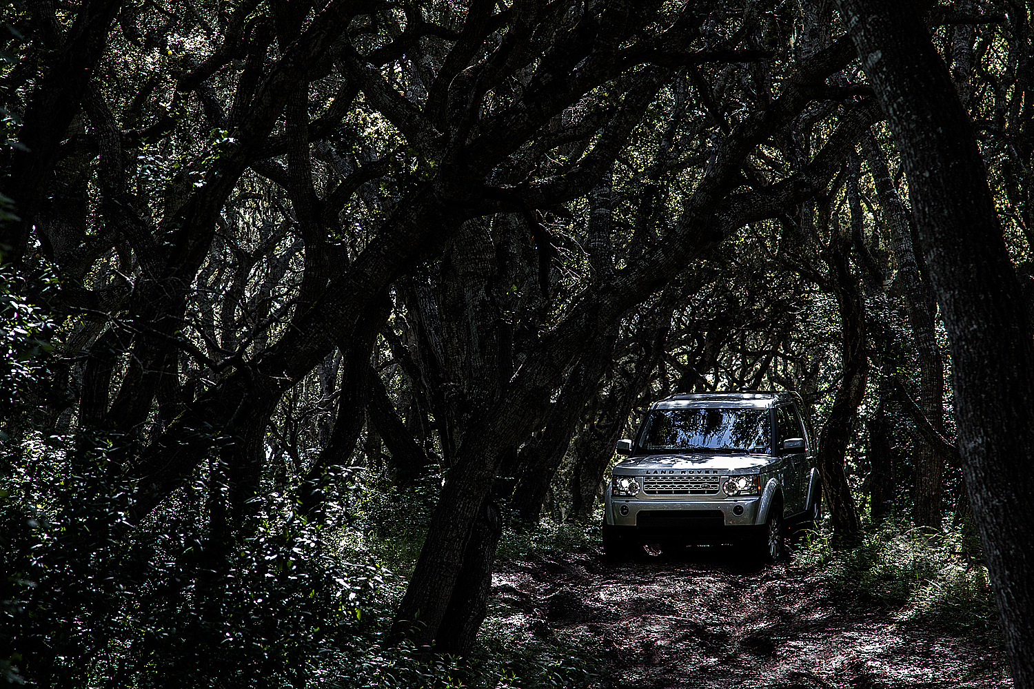  Land Rover LR3  Client: Land Rover  Location: Carmel,CA 
