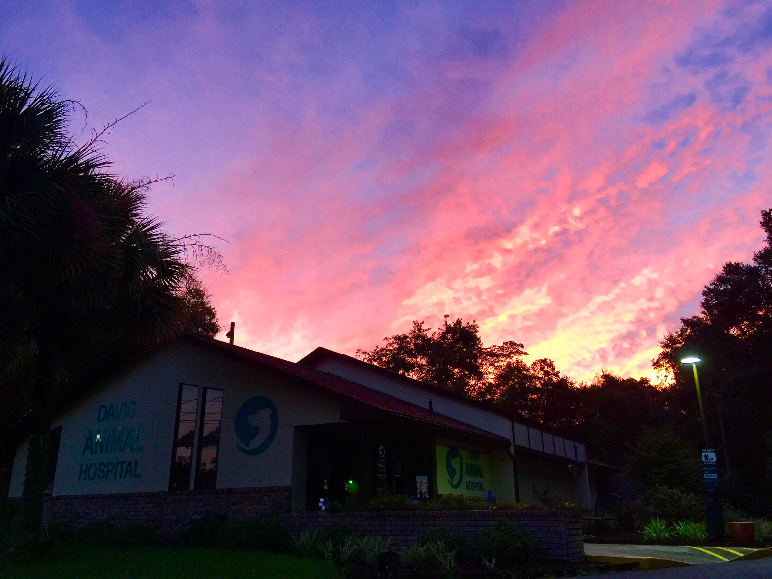 Glorious Sunrise
